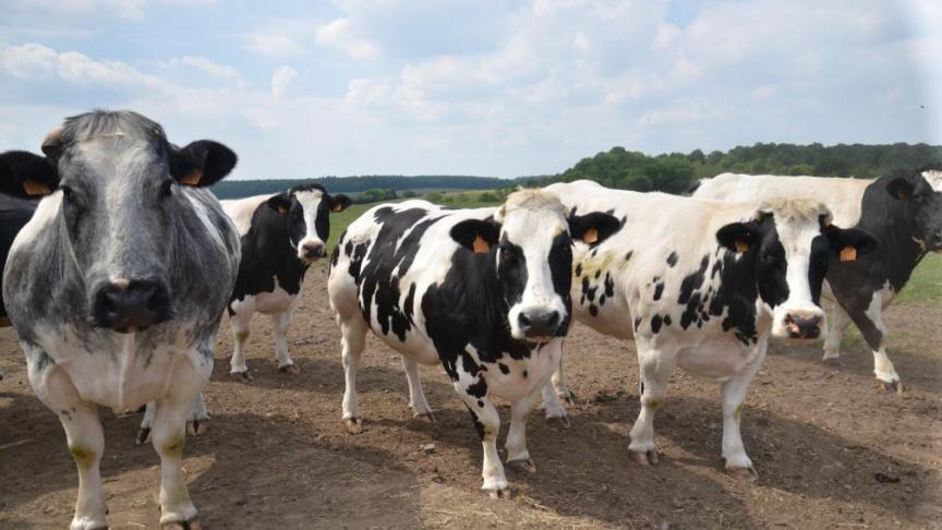 Vu les nombreux dangers que représente l’accord pour le climat, l’environnement, les droits humains, l’emploi, la viabilité de l’agriculture familiale, la Coalition belge «Stop UE-Mercosur» demande à l’ensemble des gouvernements belges de ne pas accepter l’accord.