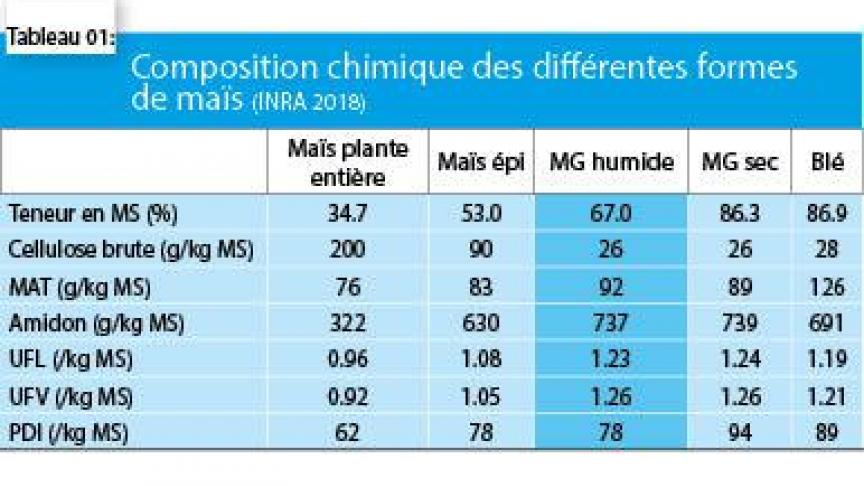 3966-MAIS HUMIDE BOVINS (2)