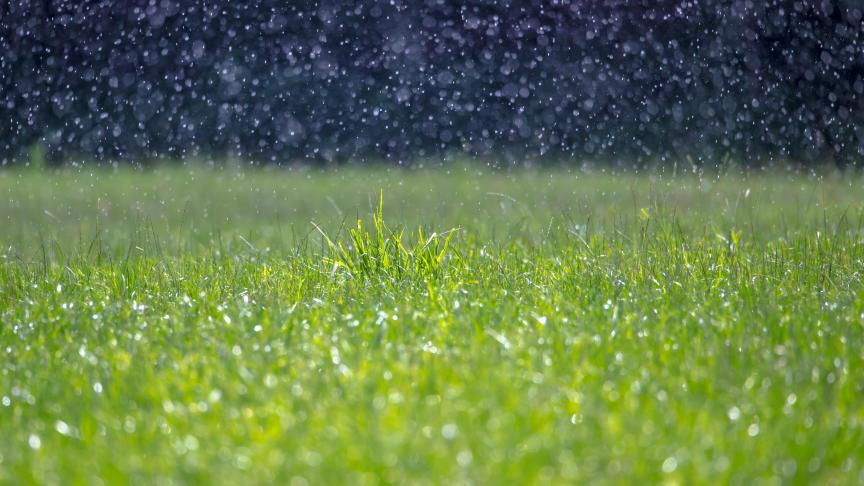 AdobeStock_114940470