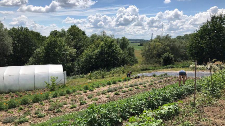 Le Jardin des sens cultive plus d'une soixantaine de variétés de fleurs comestibles, d'herbes aromatiques et de plantes médicinales à Bornival dans le Brabant Wallon.