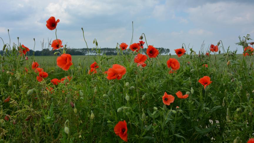 La nouvelle Pac couvrira la période 2023-2027.