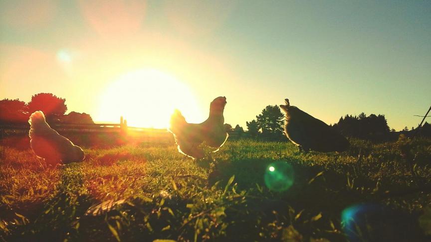 AdobeStock_339697955