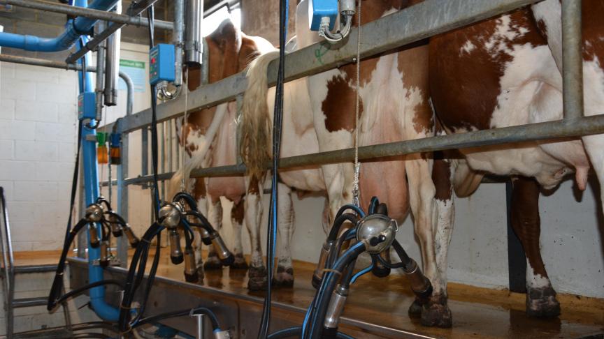 Dans les salles de traite européennes, l’humeur n’est pas au beau fixe avec des coûts de production évalués, en moyenne, à 45,35 ct/kg pour un prix du lait payé aux producteurs estimé à 34,52 ct/kg.