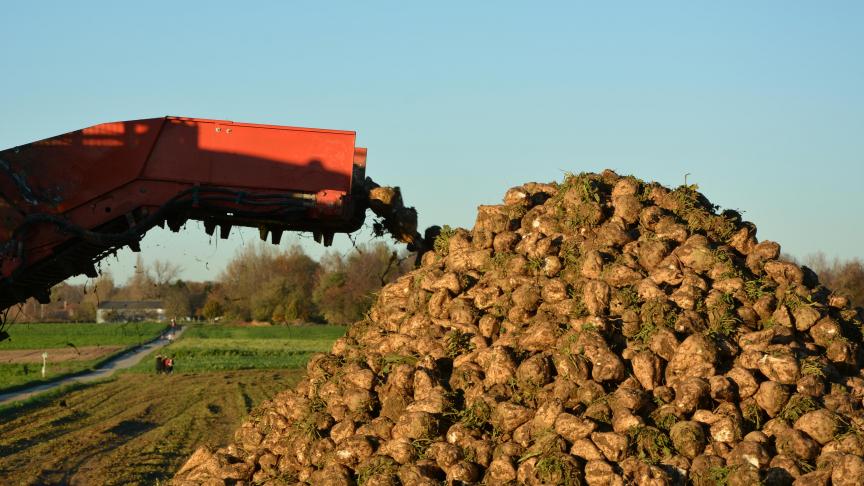 Le prix du sucre enregistre sa troisième hausse mensuelle consécutive,  pour atteindre son niveau le plus haut depuis plusieurs années.