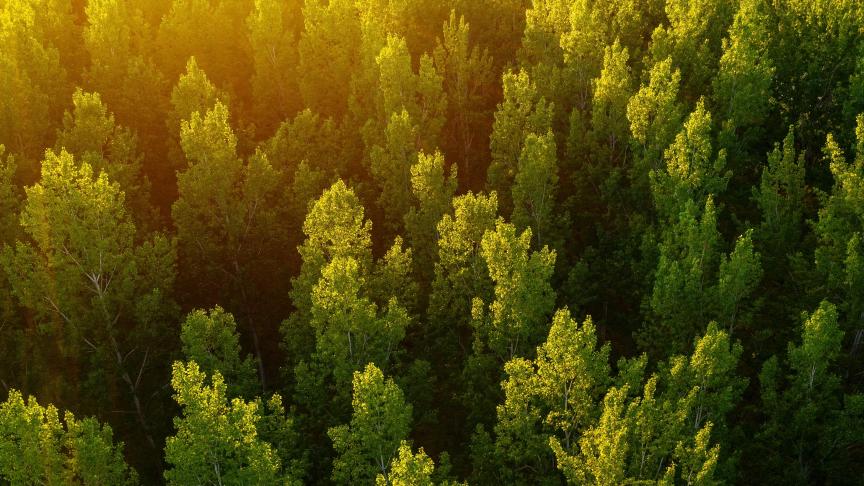 AdobeStock_439087631