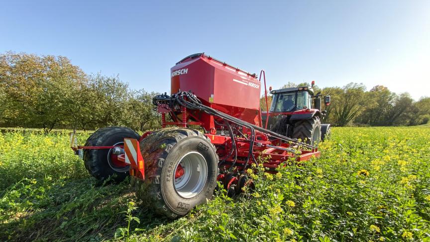 Semis direct dans un couvert haut.