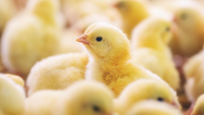 AdobeStock_310853078