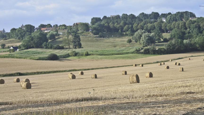 Les exploitations dirigées par des gestionnaires  ayant une formation agricole ont un revenu plus élevé.