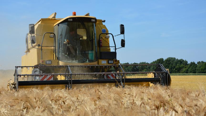 En France aussi, la moisson a été compliquée et cela se répercute sur la qualité.