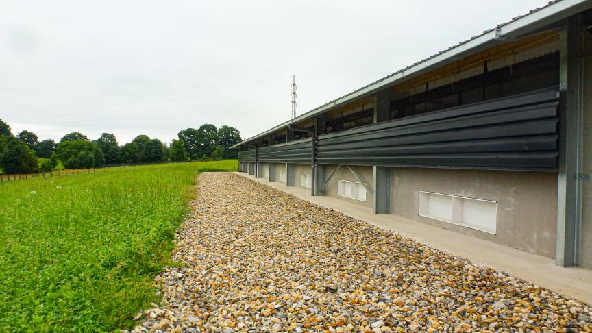 Les poules pondeuses accèdent aux parcours entourant le bâtiment dès que la météo le permet. Le parcours sera arboré à l’automne  avec de fruitiers et arbustes pour assurer une meilleure dispersion des pondeuses.