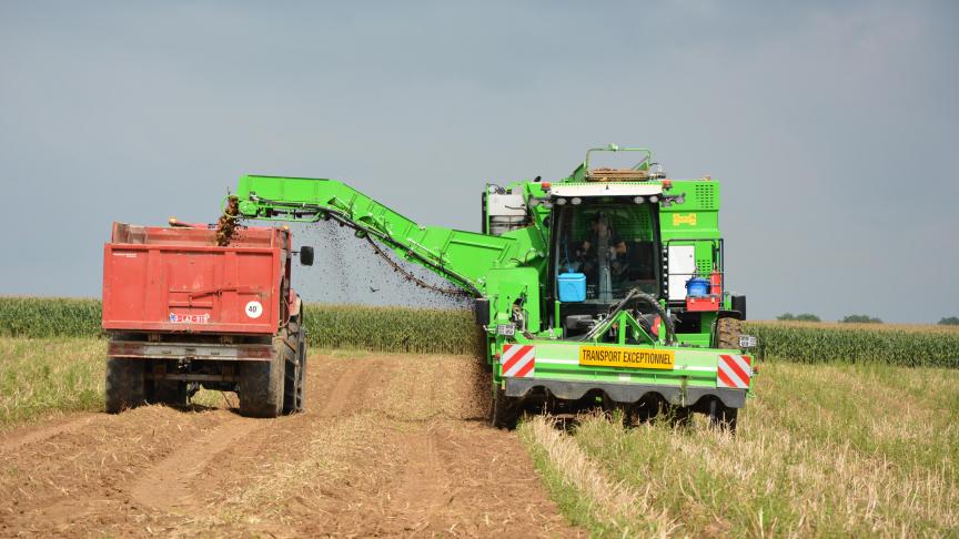 La production totale de pommes de terre dans la zone NEPG devrait être d’environ  22,4 millions de tonnes produites sur une superficie de 497.700 ha.