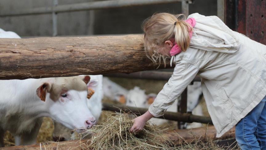 Les JFO, une occasion pour les plus petits d’aller à la rencontre des animaux de la ferme.