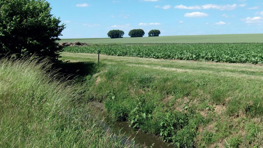 Si le couvert doit, en théorie, être présent dès le 1 er octobre prochain, les réalités agronomiques et techniques imposent une tolérance  à cette date d’entrée en vigueur. Au champ, cela se traduit de la manière suivante : un couvert végétal permanent doit être présent  dès que possible après la récolte, et dans tous les cas et au plus tard, le 31 mai 2022.