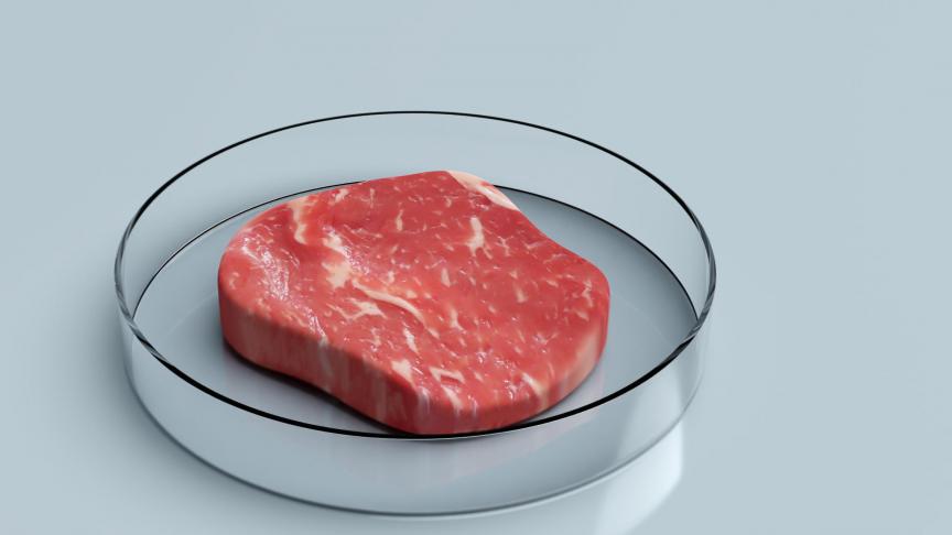 La viande cultivée poursuit sa percée sur le marché américain.