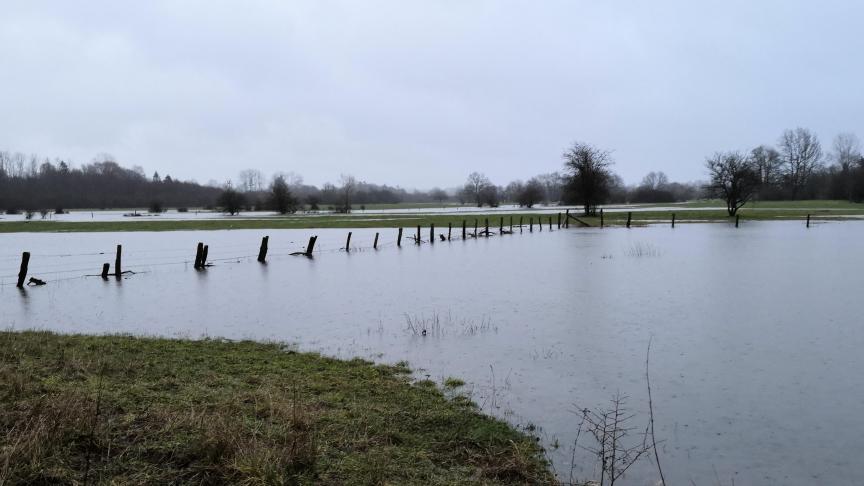 Dans les zones inondées, les agriculteurs impactés vont recevoir la visite d’un agent  afin de récolter certaines données, comme le pourcentage de la parcelle  qui a été touché ou la façon dont celle-ci l’a été (pollution, déchets, cailloux…).