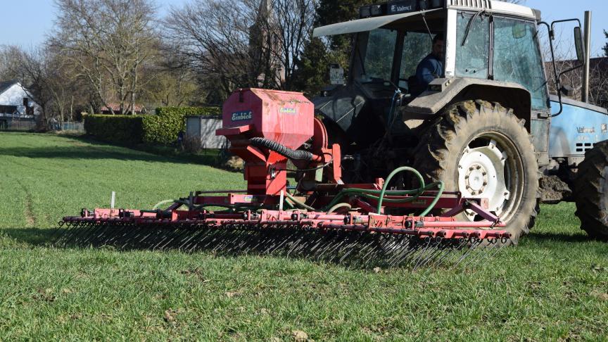 La majorité des variétés testées dans le réseau en agriculture biologique sont des variétés de qualité boulangère afin de répondre à une demande croissante pour le froment panifiable biologique.