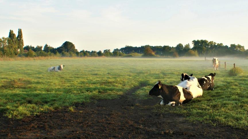 Pour certains, la stratégie «De la fourche à la fourchette» devrait inquiéter  au-delà des rangs de la communauté agricole ...