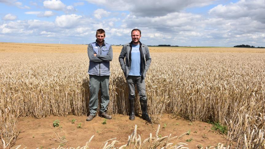 A gauche, Geoffrey Lacroix, agriculteur à Burdinne, a déployé des plots à alouettes  dans ses parcelles et bénéficie de l’accompagnement de Hadrien Gaullet, à droite,  chargé de mission au sein du Parc naturel Buerdinale-Mehaigne (PNBM).