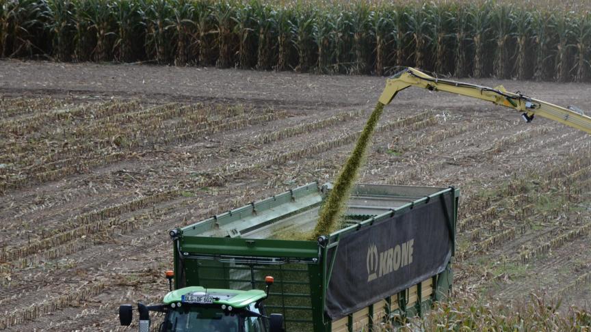 De part et d’autre, au centre du pays,  les ensilages ont débuté. Ailleurs, bien qu’il faille encore patienter avant de récolter,  les travaux peuvent progressivement  être programmés.