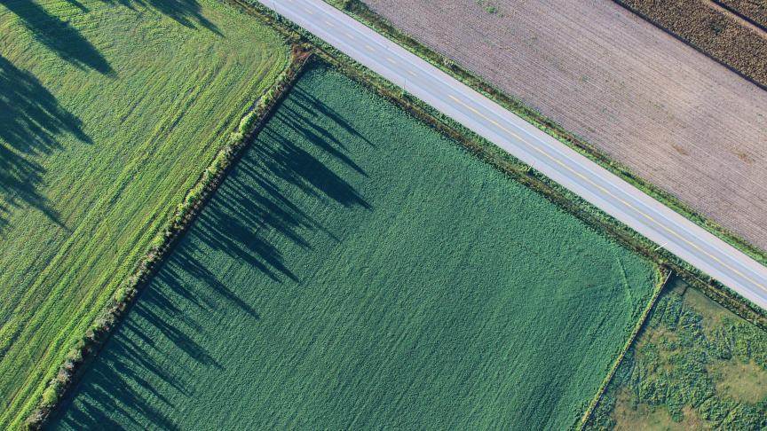Pour la Pologne, si la tendance à la hausse des prix des engrais n’est pas stoppée à temps,  « il deviendra alors extrêmement difficile, voire impossible, de répondre aux attentes  du Pacte Vert ».