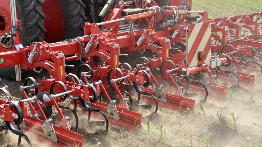 La gamme de bineuses vise le marché de cultures en lignes telles que le maïs, la betterave, la chicorée industrielle, les céréales … sans oublier les légumes...