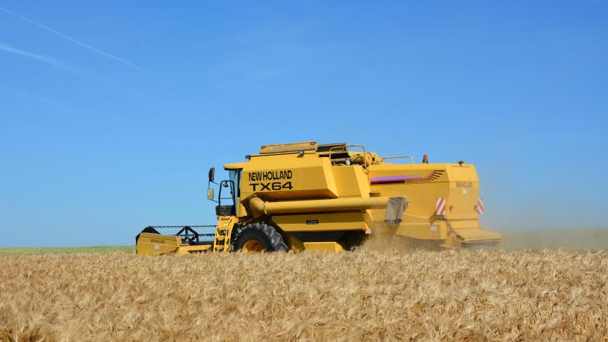 L’utilisation totale de céréales en 2021-2022 devrait augmenter de 1,7 % par rapport au niveau estimé pour 2020-2021.