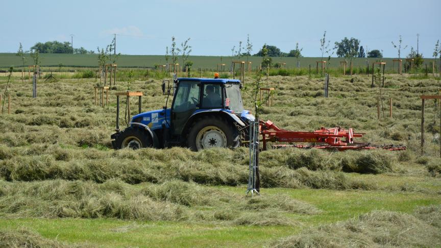 Divers sujets seront abordés lors du Forum de l’autonomie fourragère : sécurisation du stock de fourrage, rôle de l’arbre, optimisation du pâturage...