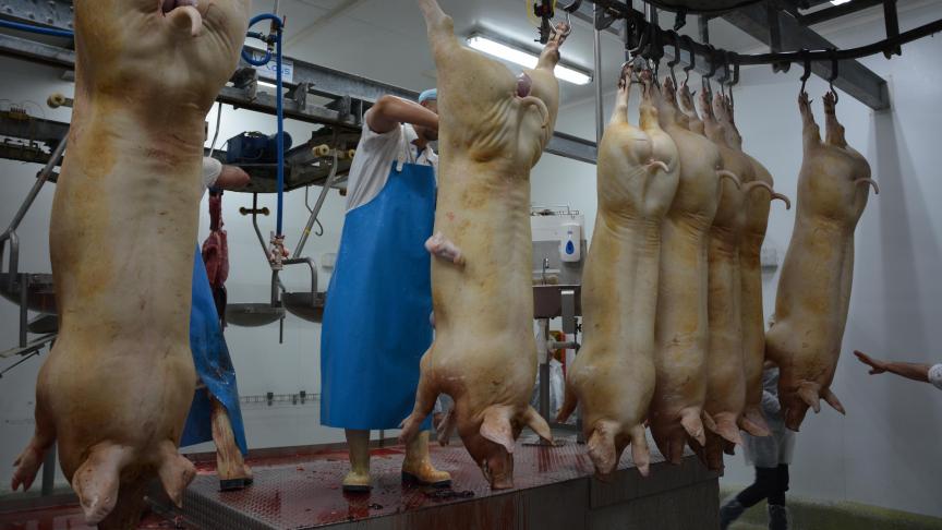 En Wallonie, actuellement seuls quatre abattoirs sont sous statut public et dès lors accessibles à tous les producteurs.