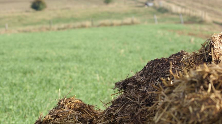 Le numéro de parcelle ainsi que la date de stockage des tas d’engrais de ferme et de composts  doivent être consignés dans un cahier d’enregistrement tenu à la ferme.