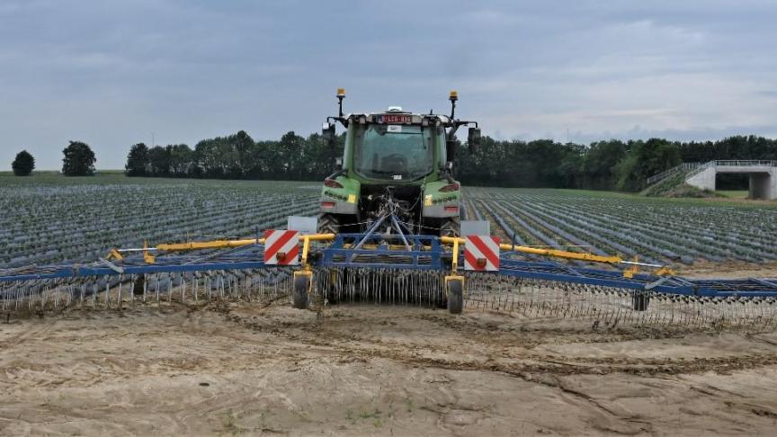 La herse étrille, ici sur une parcelle de Bel Go Bio à Thorembais-Saint-Trond, figure parmi les outils utilisés en désherbage mécanique.  Elle permet d’arracher les adventices au stade cotylédon dans l’interligne et dans la ligne.
