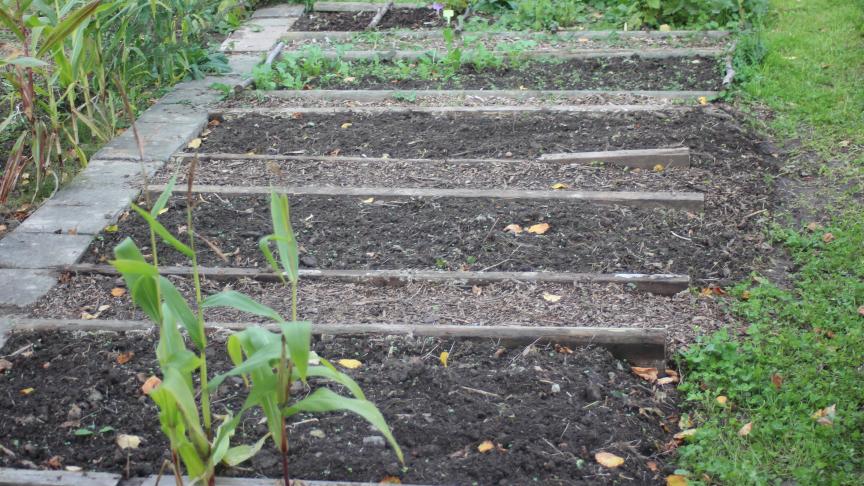 Tout est une question de caractère du jardiner. De l'ordre et de la rigueur  donnent un cachet différent au potager.