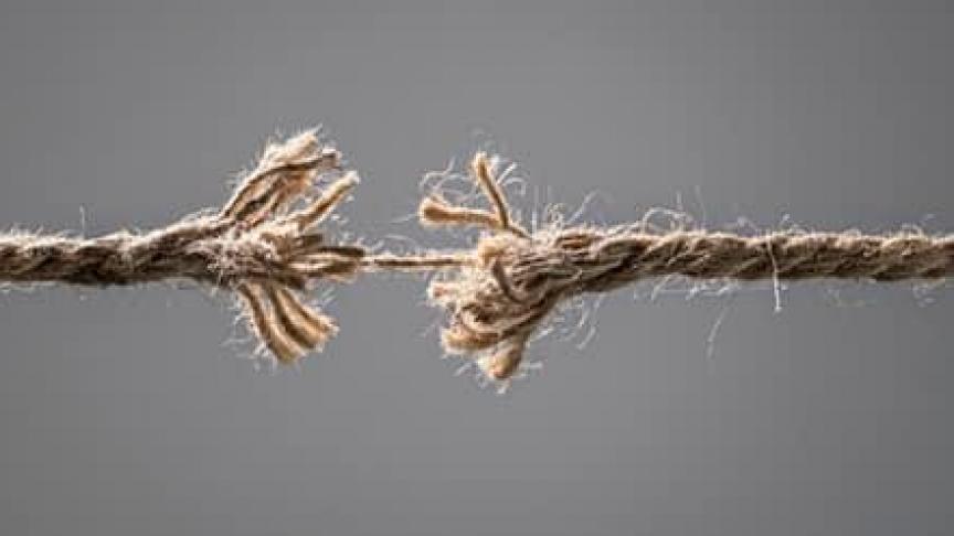 264699837_10226642116229076_7874445144479768369_n