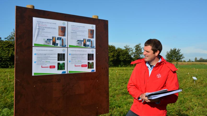 Le cavity spot, ou maladie de la tache, peut être très dommageable en culture de carottes. Pour s’en prémunir, Brecht Stock recommande d’incorporer Serenade Aso, un produit à base de Bacillus amyloliquefaciens , avant les semis.