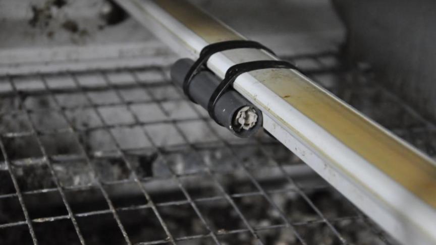 Un piège à acariens constitué d'un tube en PVC dans lequel est enroulé un morceau de carton ondulé. Le pou rouge utilise volontiers ces pièges comme abri pendant la journée.