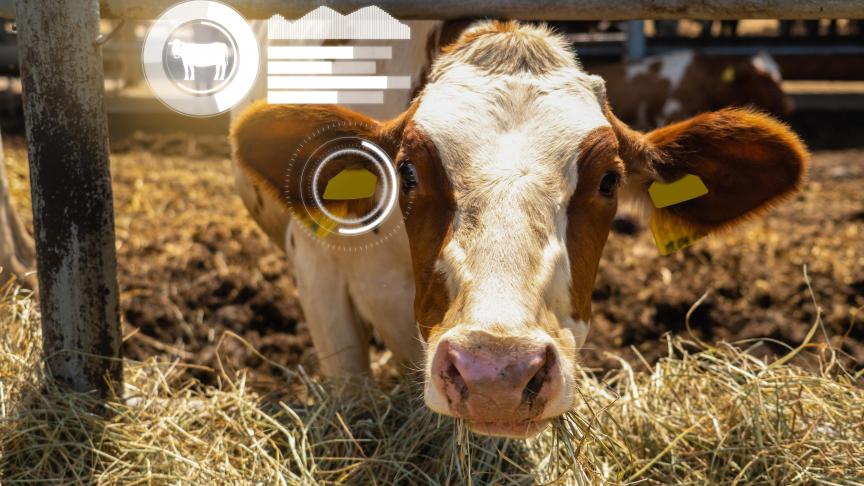 Les données sont désormais stockées et partagées dans le « cloud » ou « cow computing » avec l’avantage de créer de la valeur. «C’est en partageant, indique Carlo Bertozzi,  directeur innovation chez Elevéo, que l’on pourra développer de nouveaux  services ou outils d’aide à la décision (OAD)».