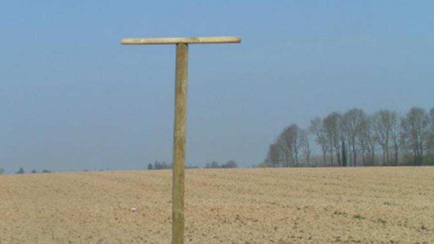 Les perchoirs doivent être installés  dès maintenant pour que les rapaces  s’y habituent.