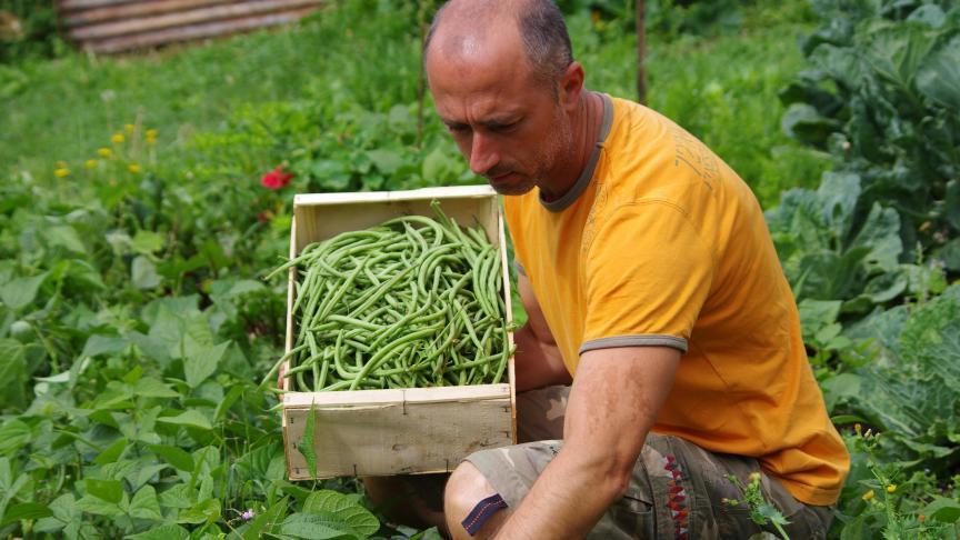 Les critères de sélection pour être « Lauréat du Travail » reposent sur des qualités humaines et professionnelles telles que la capacité d’innovation, l’engagement social, le respect de l’environnement, la transmission des connaissances et la formation…