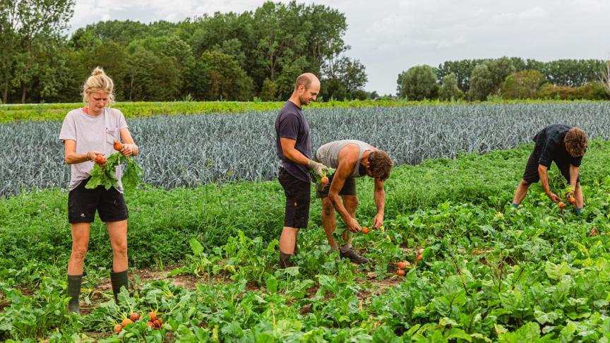 L’entreprise occupe actuellement plus de 20 personnes à temps plein.