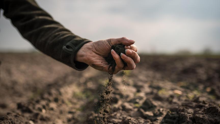 AdobeStock_335509484