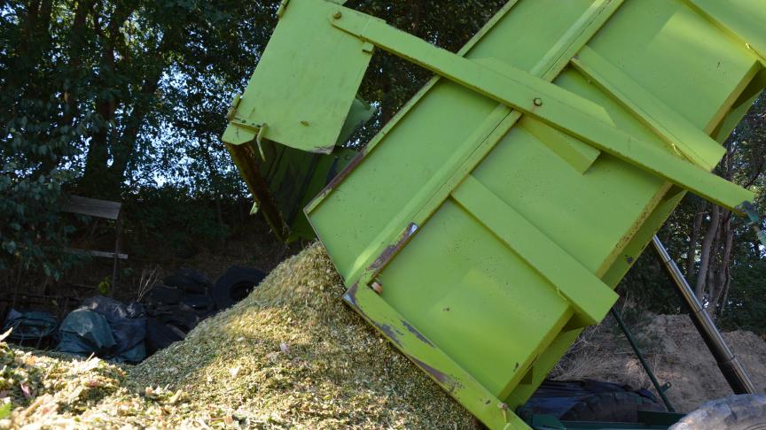 Au sud du Sillon Sambre et Meuse, il est indispensable de choisir des variétés de précocité telle qu’elles puissent être récoltées à un stade de maturité proche de l’optimum, soit entre 32 à 36 % de matière sèche.