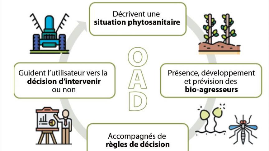 01-3999-graph-mildiou-web