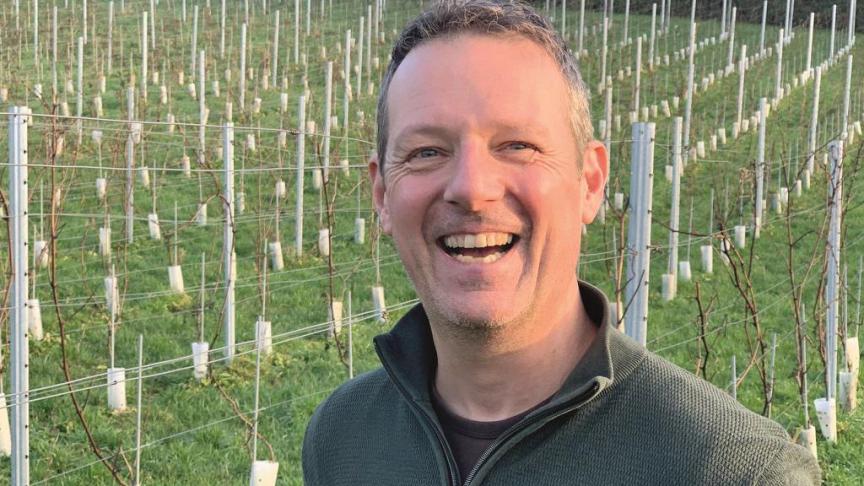 Des 6.000 pieds de vigne du domaine de Krayenberg, 175 sont de la variété «Souvignier gris», celle qui a le mieux résisté en 2021.