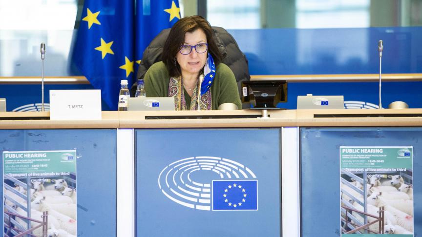 L’écologiste luxembourgeoise Tilly Metz dénonce «les durées de transport souvent trop longues, les animaux trop jeunes pour voyager en toute sécurité».
