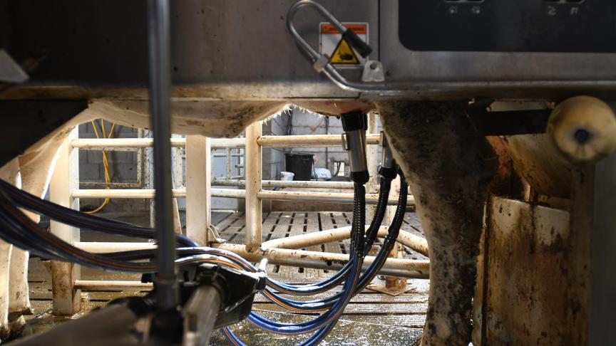 Avec la 11 e  version du cahier de charges QFL, les principaux changements ont trait à la stratégie  des audits inopinéset à l’enregistrement de l’utilisation d’antibiotiques.