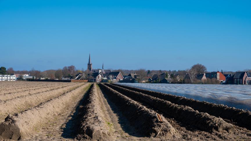 Cinq États membres n’ont toujours pas soumis leurs projets de plans : l’Allemagne, la Belgique (qui pourrait être très en retard), la Bulgarie, la Roumanie et la Slovaquie.