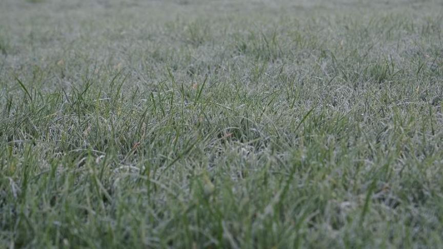 Si la destruction a lieu en 2022, l’épandage d’azote minéral est autorisé en 2023  et d’azote organique en 2024, idem pour le maraîchage.