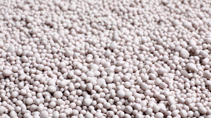 AdobeStock_271689426