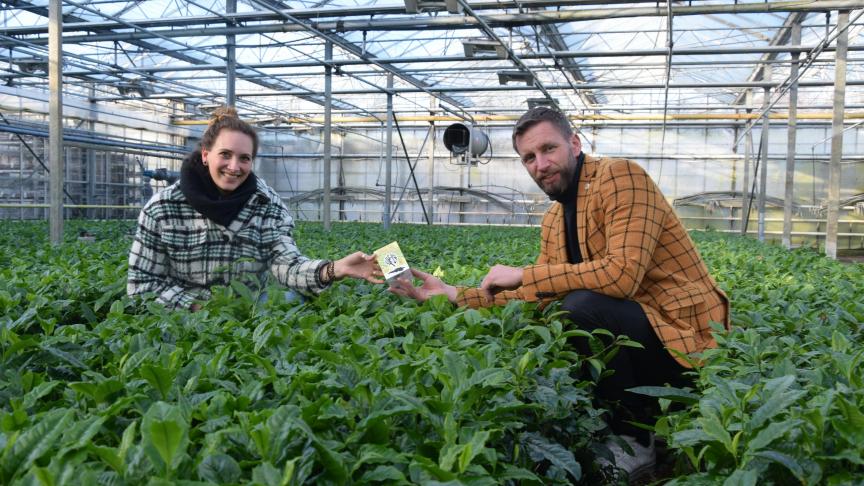 Johan Jansen, fondateur de «Local Tea» et Dionne Oomen, responsable de production, sont les inspirateurs de ce premier projet de thé en Flandre.