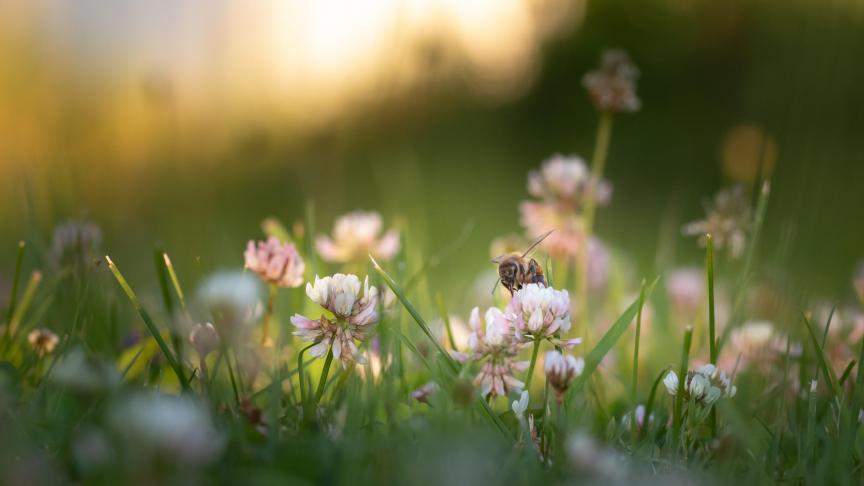 AdobeStock_278660601