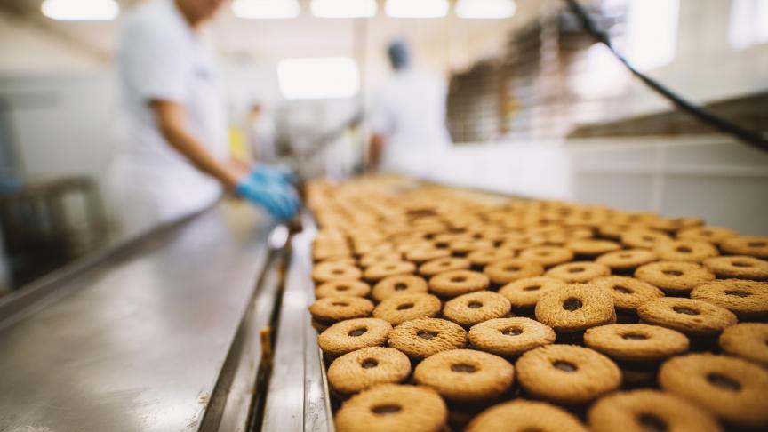 AdobeStock_190685819